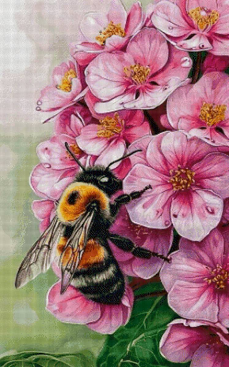 №2914204 - предпросмотр