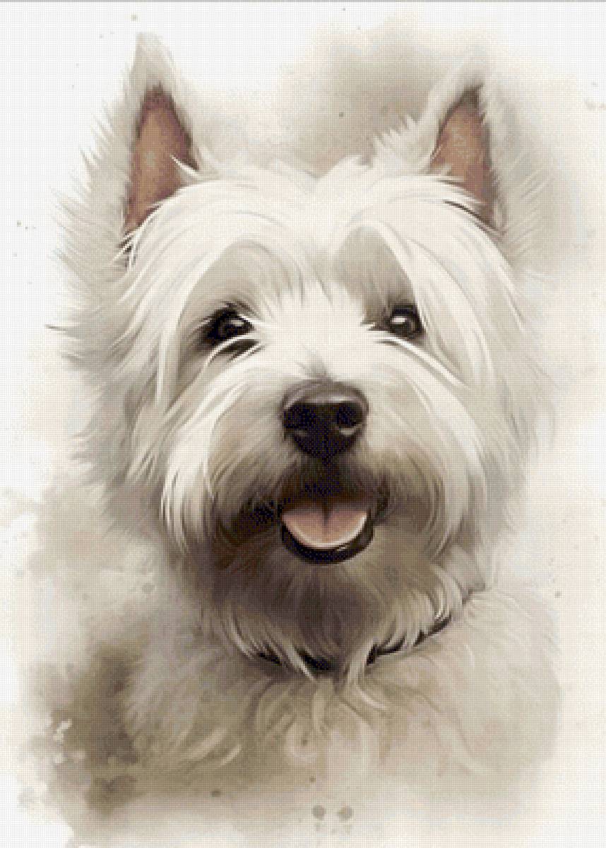 Вест хайленд Вайт терьер - собака - предпросмотр