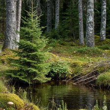 Схема вышивки «№2914712»