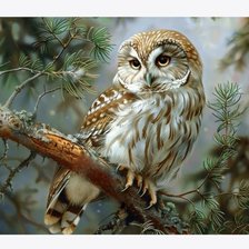 Схема вышивки «№2914861»