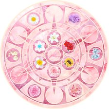 Схема вышивки «Барби 12 танцующих принцесс»