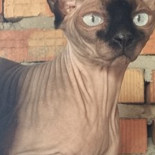 Схема вышивки «Бонечка»