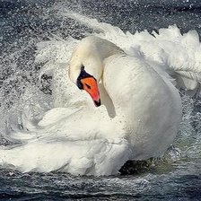 Схема вышивки «№2916391»