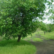 Схема вышивки «№2916486»