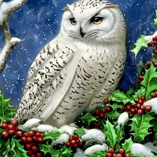 Схема вышивки «Зимняя сова»