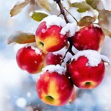 Схема вышивки «№2917086»