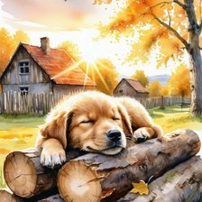 Схема вышивки «Сладкий сон»