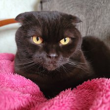 Схема вышивки «Сникерс»