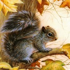 Схема вышивки «белка»