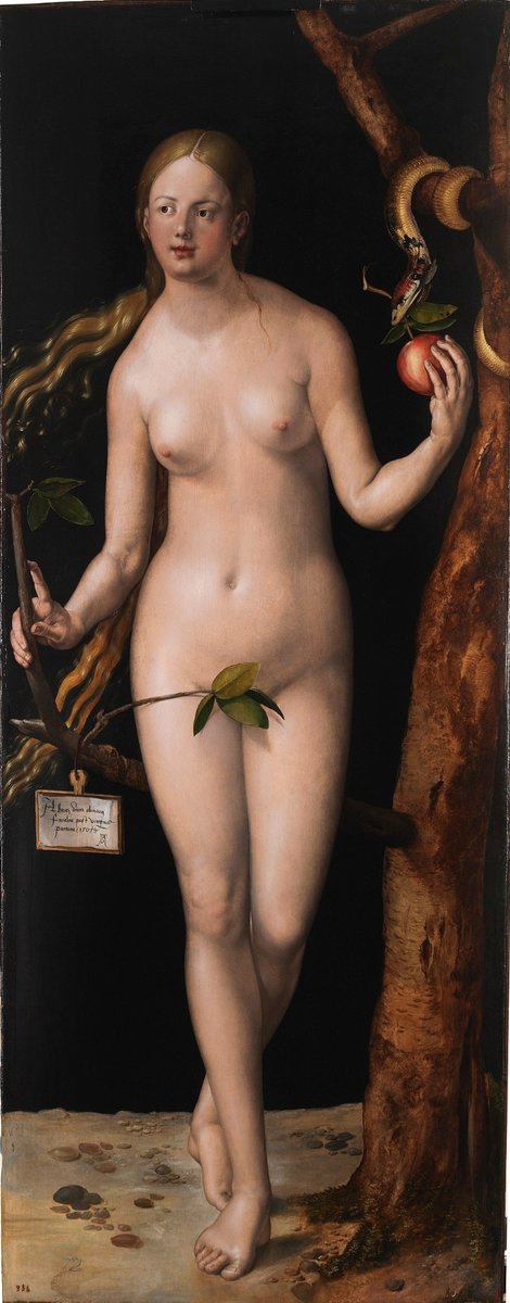 Ева Дюрер - дюрер картина ева - оригинал