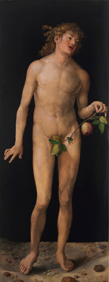 Дюрер Алам и Ева, Адам - дюрер картина адам - оригинал