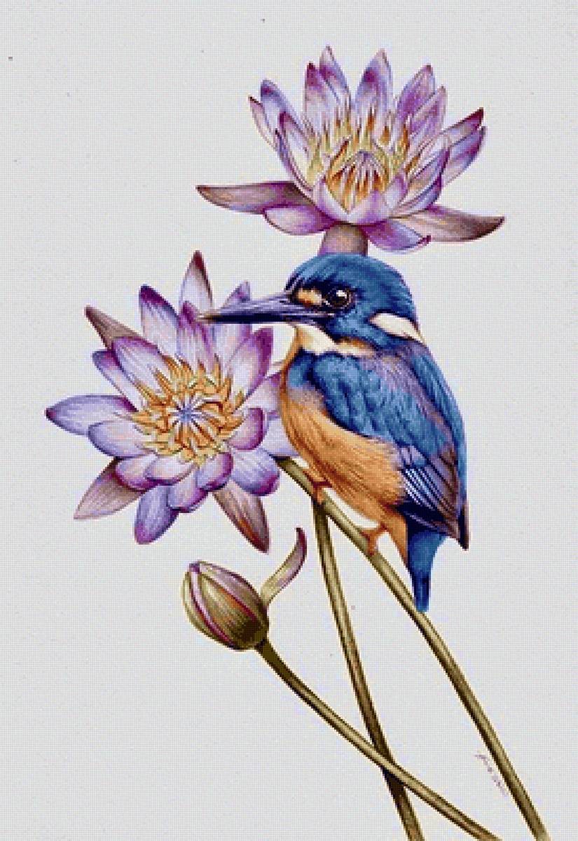 Chú Chim Xanh - предпросмотр