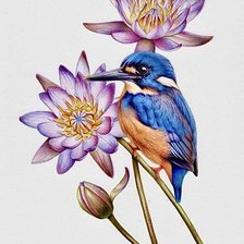 Схема вышивки «Chú Chim Xanh»