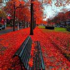 Схема вышивки «красная аллея»