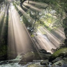 лесная речка