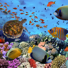 Схема вышивки «Подводный мир»