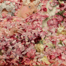 Схема вышивки «The Roses of Heliogabalus 13-16»