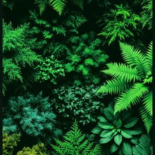 Схема вышивки «Зелень»