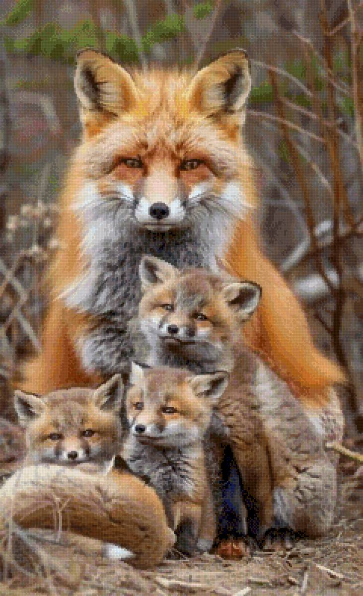 Family of foxes - предпросмотр