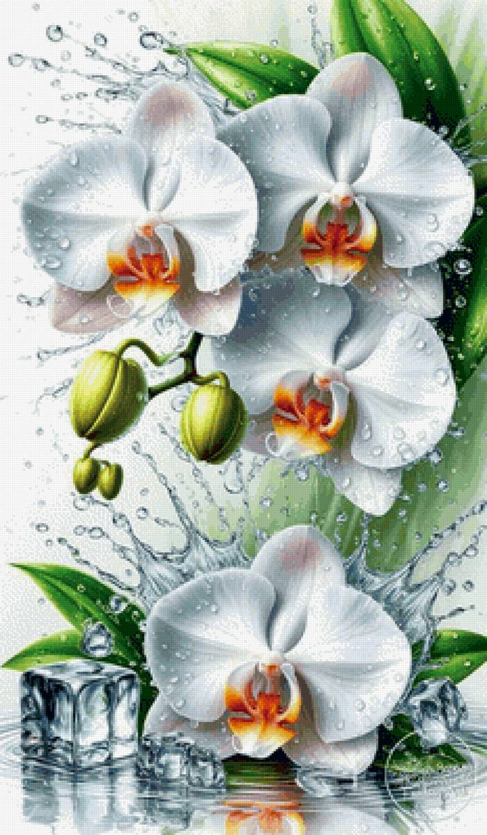 №2922215 - предпросмотр