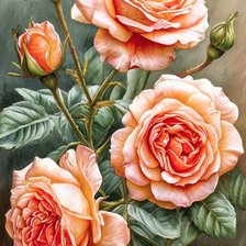 Схема вышивки «Розы»