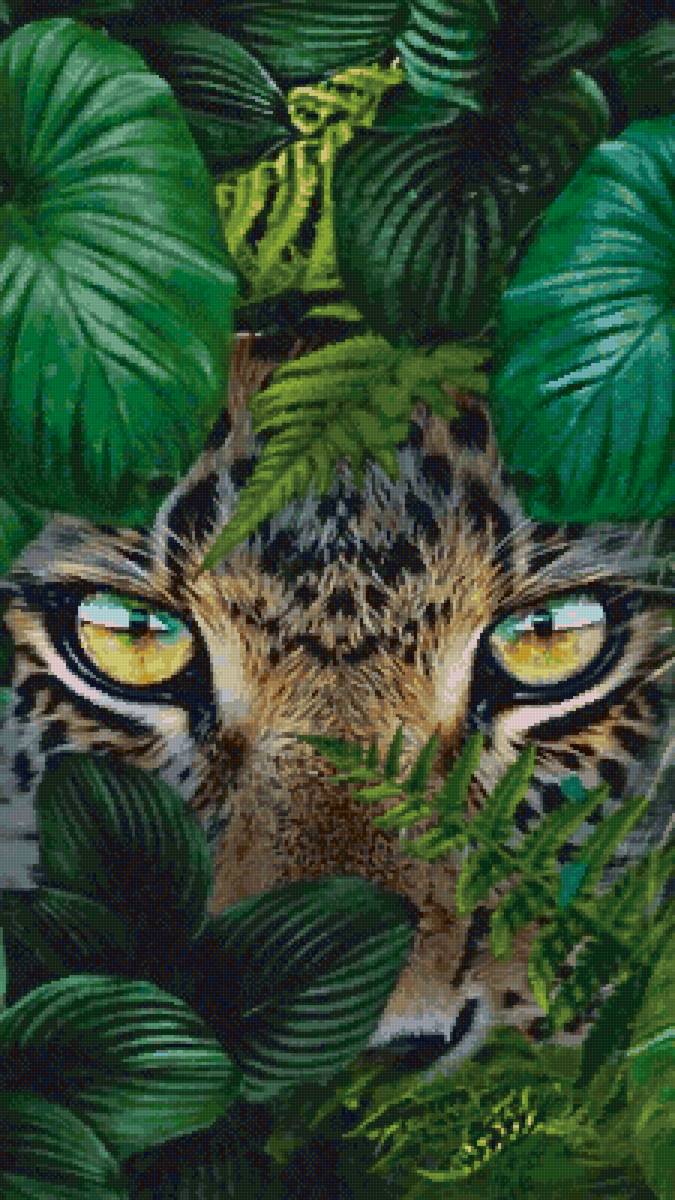 взгляд леопарда - взгляд леопарда - предпросмотр