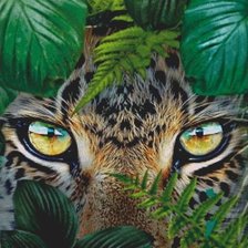 Схема вышивки «взгляд леопарда»