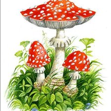 Схема вышивки «Мухоморы»