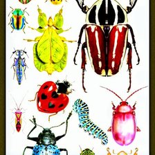 Схема вышивки «Рисунок»