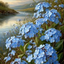 Схема вышивки «Незабудки»