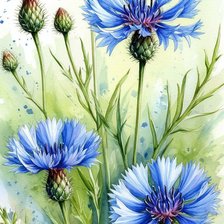 Схема вышивки «Васильки»