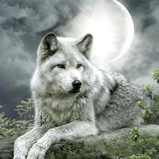 Схема вышивки «волк»