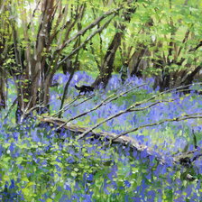 Схема вышивки «№2923946»