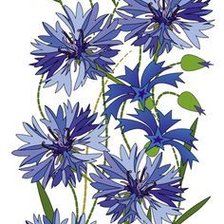 Схема вышивки «Васильки»