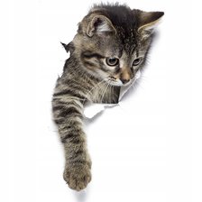 Схема вышивки «№2924561»