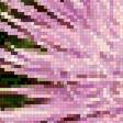 Предпросмотр схемы вышивки «Мох» (№2924602)