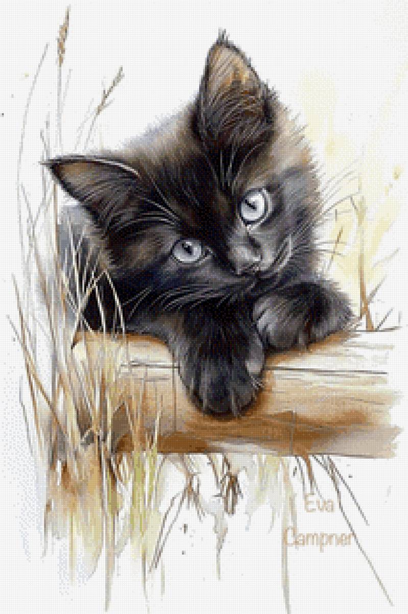 Котенок - кот, домашние животные - предпросмотр