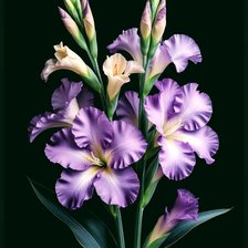 Схема вышивки «Цветы»