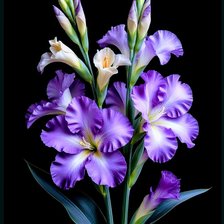 Схема вышивки «Цветы»