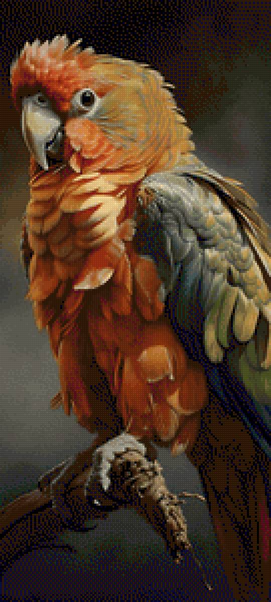 Попугай - птицы, попугай - предпросмотр