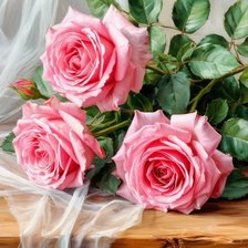 Схема вышивки «Розы»