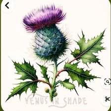 Схема вышивки «Репей»