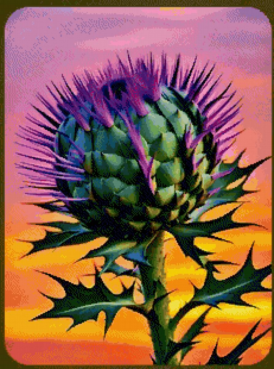 Репей - чертополох - предпросмотр