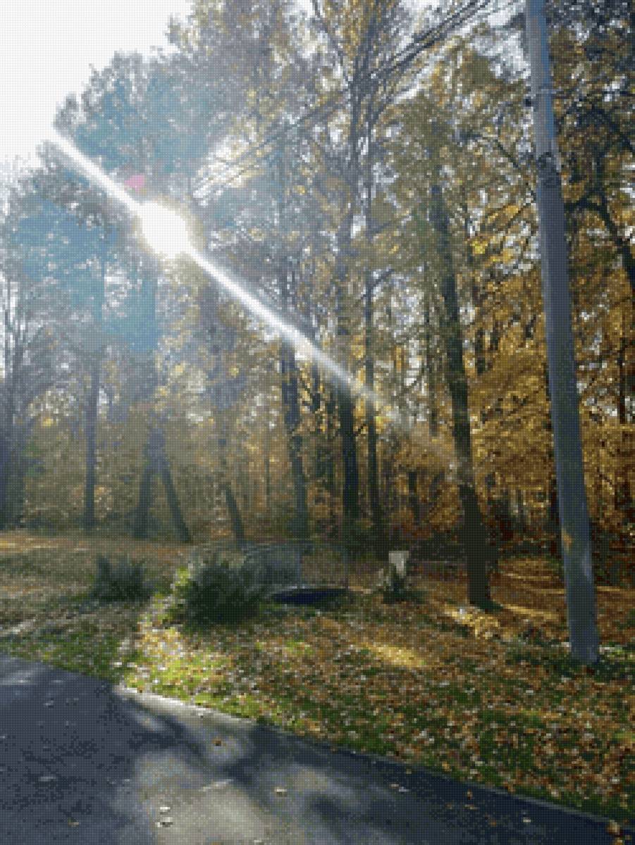 осень в парке - осень, луч, парк - предпросмотр