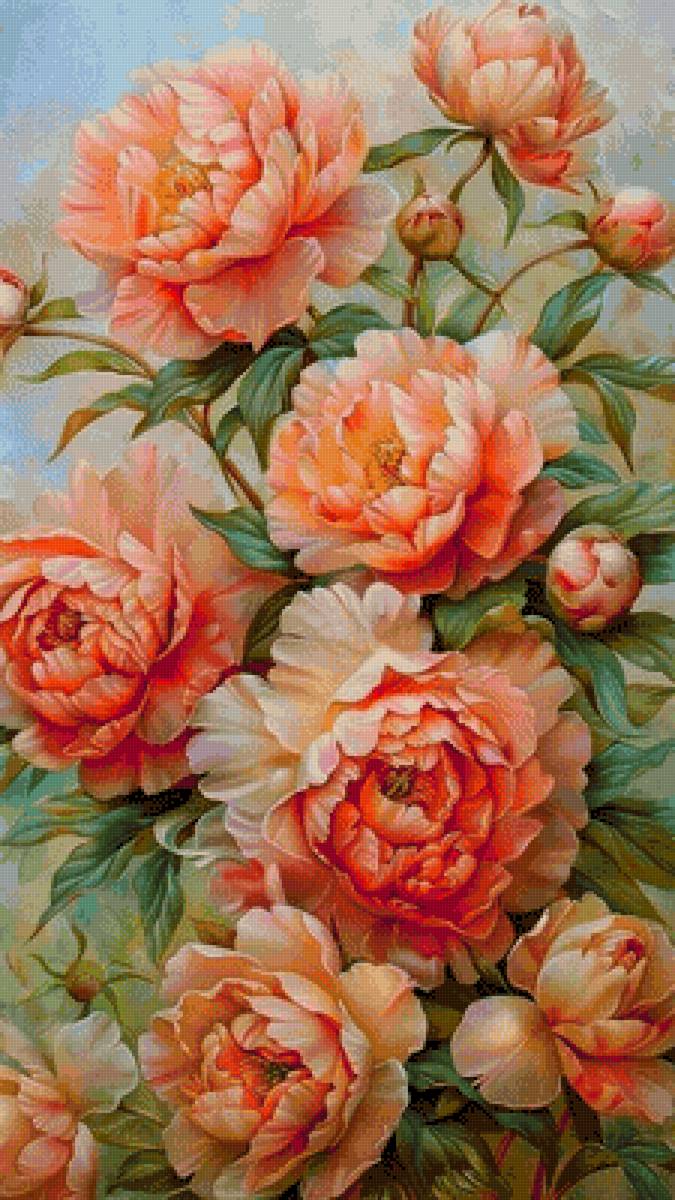 Bujori - flori - предпросмотр