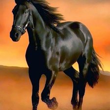 Схема вышивки «Свобода»