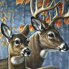 Схема вышивки «№2927896»