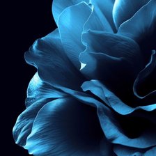 Схема вышивки «Цветок»