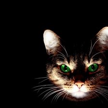 Схема вышивки «Я здесь!»