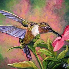 Схема вышивки «Колибри. Бруно Тина Августо»